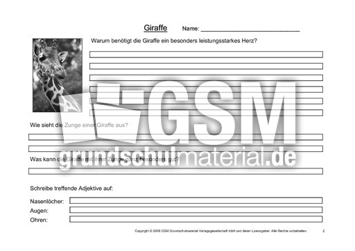 Giraffe-Fragen-2.pdf